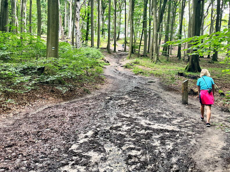 24-07-02 14-47-16 0133